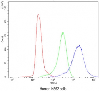 Flow cytometry testing of human K562 cells with CCT3 antibody at 1ug/million cells (blocked with goat sera); Red=cells alone, Green=isotype control, Blue= CCT3 antibody.