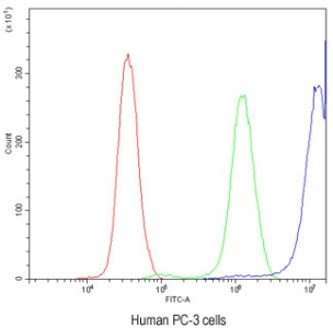 Flow cytometry testing of human PC-3 cells with CCT3 antibody at 1ug/million cells (blocked with goat sera); Red=cells alone, Green=isotype control, Blue= CCT3 antibody.