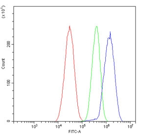 Flow cytometry testing of human HepG2 cells with YAP1 antibody at 1ug/million cells (blocked with goat sera); Red=cells alone, Green=isotype control, Blue= YAP1 antibody.