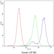 Flow cytometry testing of human U-87 MG cells with Factor I antibody at 1ug/10^6 cells (blocked with goat sera); Red=cells alone, Green=isotype control, Blue= Factor I antibody.