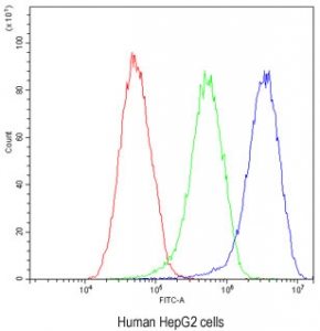 Flow cytometry testing of human HepG2 cells with Factor I antibody at 1ug/million cells (blocked with goat sera); Red=cells alone, Green=isotype control, Blue= Factor I antibody.