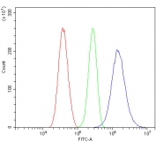 Flow cytometry testing of human U-87 MG cells with Caldesmon antibody at 1ug/million cells (blocked with goat sera); Red=cells alone, Green=isotype control, Blue= Caldesmon antibody.