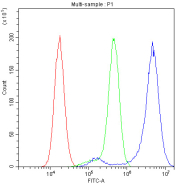 Flow cytometry analysis of fixed and permeabilized human U-87 MG cells with CRM1 antibody at 1ug/million cells (blocked with goat sera); Red=cells alone, Green=isotype control, Blue= CRM1 antibody.
