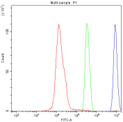 Flow cytometry analysis of fixed and permeabilized human SiHa cells with CRM1 antibody at 1ug/million cells (blocked with goat sera); Red=cells alone, Green=isotype control, Blue= CRM1 antibody.