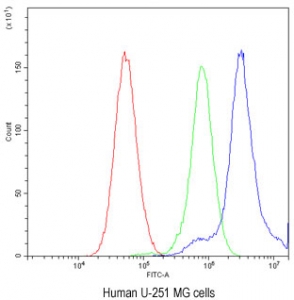 Flow cytometry testing of human U-251 MG cells with TCP1 delta antibody at 1ug/million cells (blocked with goat sera); Red=cells alone, Green=isotype control, Blue= TCP1 delta antibody.