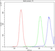 Flow cytometry testing of fixed and permeabilized human PC-3 cells with TCP1 delta antibody at 1ug/million cells (blocked with goat sera); Red=cells alone, Green=isotype control, Blue= TCP1 delta antibody.