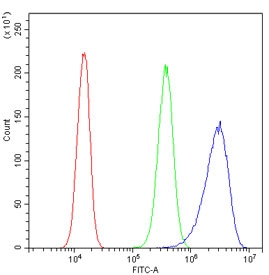 Flow cytometry testing of human PC-3 cells with CDCP1 antibody at 1ug/million cells (blocked with goat sera); Red=cells alone, Green=isotype control, Blue= CDCP1 antibody.