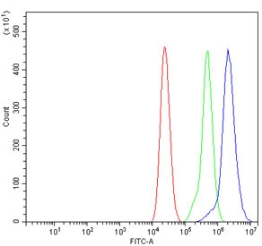 Flow cytometry testing of mouse RAW264.7 cells with Cd9 antibody at 1ug/million cells (blocked with goat sera); Red=cells alone, Green=isotype control, Blue= Cd9 antibody.
