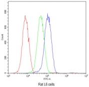 Flow cytometry testing of rat L6 cells with Osteocalcin antibody at 1ug/10^6 cells (blocked with goat sera); Red=cells alone, Green=isotype control, Blue= Osteocalcin antibody.