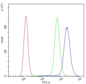 Flow cytometry testing of human A431 cells with DDAH1 antibody at 1ug/million cells (blocked with goat sera); Red=cells alone, Green=isotype control, Blue= DDAH1 antibody.
