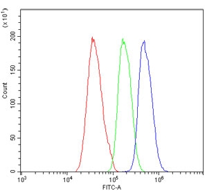 Flow cytometry testing of human Caco-2 cells with DDAH2 antibody at 1ug/million cells (blocked with goat sera); Red=cells alone, Green=isotype control, Blue= DDAH2 antibody.