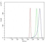 Flow cytometry testing of fixed and permeabilized human SiHa cells with Alpha Internexin antibody at 1ug/million cells (blocked with goat sera); Red=cells alone, Green=isotype control, Blue= Alpha Internexin antibody.