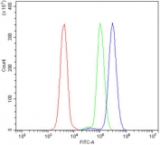 Flow cytometry testing of human U937 cells with ITLN1 antibody at 1ug/million cells (blocked with goat sera); Red=cells alone, Green=isotype control, Blue= ITLN1 antibody.