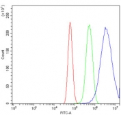 Flow cytometry testing of human U-87 MG cells with TAK1 antibody at 1ug/million cells (blocked with goat sera); Red=cells alone, Green=isotype control, Blue= TAK1 antibody.