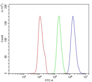 Flow cytometry testing of human SiHa cells with AEBP2 antibody at 1ug/million cells (blocked with goat sera); Red=cells alone, Green=isotype control, Blue= AEBP2 antibody.