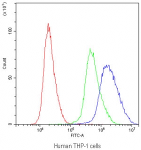 Flow cytometry testing of human THP-1 cells with APOBEC3G antibody at 1ug/million cells (blocked with goat sera); Red=cells alone, Green=isotype control, Blue=APOBEC3G antibody.