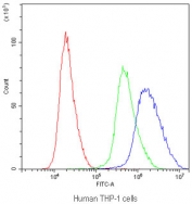 Flow cytometry testing of human THP-1 cells with APOBEC3G antibody at 1ug/10^6 cells (blocked with goat sera); Red=cells alone, Green=isotype control, Blue=APOBEC3G antibody.