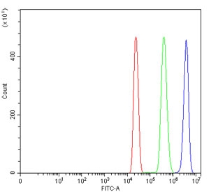 Flow cytometry testing of human HL60 cells with BCR antibody at 1ug/million cells (blocked with goat sera); Red=cells alone, Green=isotype control, Blue= BCR antibody.