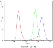 Flow cytometry testing of human HT-29 cells with CA2 antibody at 1ug/10^6 cells (blocked with goat sera); Red=cells alone, Green=isotype control, Blue= CA2 antibody.