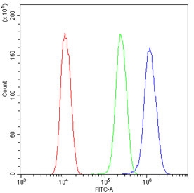 Flow cytometry testing of human U-2 OS cells with Cyclin T1 antibody at 1ug/million cells (blocked with goat sera); Red=cells alone, Green=isotype control, Blue= Cyclin T1 antibody.