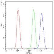 Flow cytometry testing of human U-2 OS cells with Cyclin T1 antibody at 1ug/10^6 cells (blocked with goat sera); Red=cells alone, Green=isotype control, Blue= Cyclin T1 antibody.