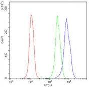 Flow cytometry testing of human U937 cells with Cyclin T1 antibody at 1ug/10^6 cells (blocked with goat sera); Red=cells alone, Green=isotype control, Blue= Cyclin T1 antibody.