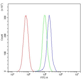 Flow cytometry testing of mouse HEPA1-6 cells with ACVR2A antibody at 1ug/million cells (blocked with goat sera); Red=cells alone, Green=isotype control, Blue= ACVR2A antibody.