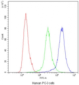 Flow cytometry testing of human PC-3 cells with ADO antibody at 1ug/million cells (blocked with goat sera); Red=cells alone, Green=isotype control, Blue=ADO antibody.