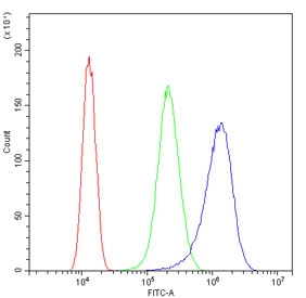 Flow cytometry testing of human SiHa cells with GP78 antibody at 1ug/million cells (blocked with goat sera); Red=cells alone, Green=isotype control, Blue= GP78 antibody.