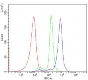 Flow cytometry testing of human PBM cells with CD40 antibody at 1ug/million cells (blocked with goat sera); Red=cells alone, Green=isotype control, Blue= CD40 antibody.