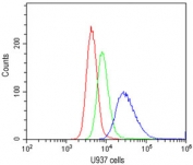 Flow cytometry testing of human U937 cells with CD40 antibody at 1ug/10^6 cells (cells blocked with goat sera); Red=cells alone, Green=isotype control, Blue=CD40 antibody.