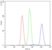 Flow cytometry testing of human U937 cells with GNB1 antibody at 1ug/10^6 cells (blocked with goat sera); Red=cells alone, Green=isotype control, Blue= GNB1 antibody.