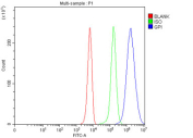 Flow cytometry testing of fixed and permeabilized human K562 cells with GPI antibody at 1ug/million cells (blocked with goat sera); Red=cells alone, Green=isotype control, Blue= GPI antibody.