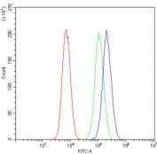 Flow cytometry testing of human Caco-2 cells with HLTF antibody at 1ug/million cells (blocked with goat sera); Red=cells alone, Green=isotype control, Blue= HLTF antibody.