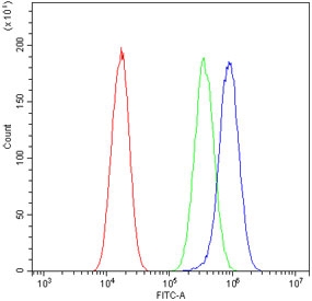 Flow cytometry testing of human A549 cells with LDHA antibody at 1ug/million cells (blocked with goat sera); Red=cells alone, Green=isotype control, Blue= LDHA antibody.