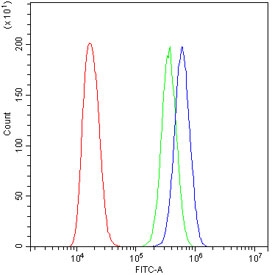 Flow cytometry testing of human A431 cells with MPP2 antibody at 1ug/million cells (blocked wit