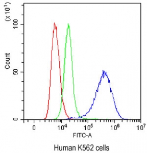 Flow cytometry testing of human K562 cells with NFIA antibody at 1ug/million cells (blocked with goat sera); Red=cells alone, Green=isotype control, Blue=NFIA antibody.