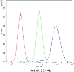 Flow cytometry testing of human U-2 OS cells with NFIA antibody at 1ug/million cells (blocked with goat sera); Red=cells alone, Green=isotype control, Blue=NFIA antibody.