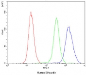 Flow cytometry testing of human SiHa cells with NFIA antibody at 1ug/10^6 cells (blocked with goat sera); Red=cells alone, Green=isotype control, Blue=NFIA antibody.