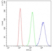 Flow cytometry testing of human A431 cells with PML antibody at 1ug/10^6 cells (blocked with goat sera); Red=cells alone, Green=isotype control, Blue= PML antibody.