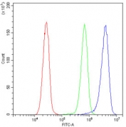 Flow cytometry testing of human HeLa cells with PSMA3 antibody at 1ug/10^6 cells (blocked with goat sera); Red=cells alone, Green=isotype control, Blue= PSMA3 antibody.