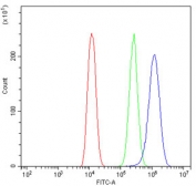 Flow cytometry testing of human U-2 OS cells with RPL19 antibody at 1ug/10^6 cells (blocked with goat sera); Red=cells alone, Green=isotype control, Blue= RPL19 antibody.