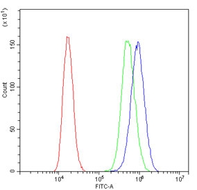 Flow cytometry testing of human PC-3 cells with RPSA antibody at 1ug/million cells (blocked with goat sera); Red=cells alone, Green=isotype control, Blue= RPSA antibody.