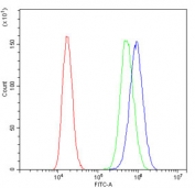 Flow cytometry testing of human PC-3 cells with RPSA antibody at 1ug/million cells (blocked with goat sera); Red=cells alone, Green=isotype control, Blue= RPSA antibody.