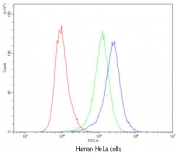 Flow cytometry testing of human HeLa cells with CASP8 antibody at 1ug/10^6 cells (cells blocked with goat sera); Red=cells alone, Green=isotype control, Blue=CASP8 antibody.