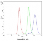 Flow cytometry testing of human PC-3 cells with CASP8 antibody at 1ug/10^6 cells (cells blocked with goat sera); Red=cells alone, Green=isotype control, Blue=CASP8 antibody.