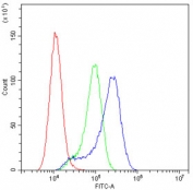 Flow cytometry testing of human A549 cells with MPI antibody at 1ug/10^6 cells (blocked with goat sera); Red=cells alone, Green=isotype control, Blue= MPI antibody.