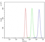 Flow cytometry testing of human U937 cells with KCNQ1 antibody at 1ug/million cells (blocked with goat sera); Red=cells alone, Green=isotype control, Blue= KCNQ1 antibody.