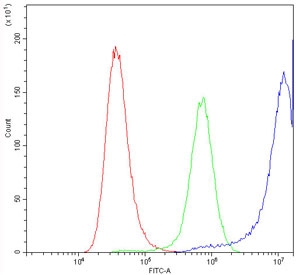 Flow cytometry testing of human A549 cells with Calpastatin antibody at 1ug/million cells (blocked with goat sera); Red=cells alone, Green=isotype control, Blue=Calpastatin antibody.
