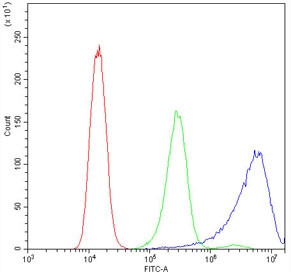 Flow cytometry testing of human A431 cells with Calpastatin antibody at 1ug/million cells (blocked with goat sera); Red=cells alone, Green=isotype control, Blue=Calpastatin antibody.